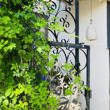 Casa Elsa Pipa Apartment Praia de Pipa Екстериор снимка