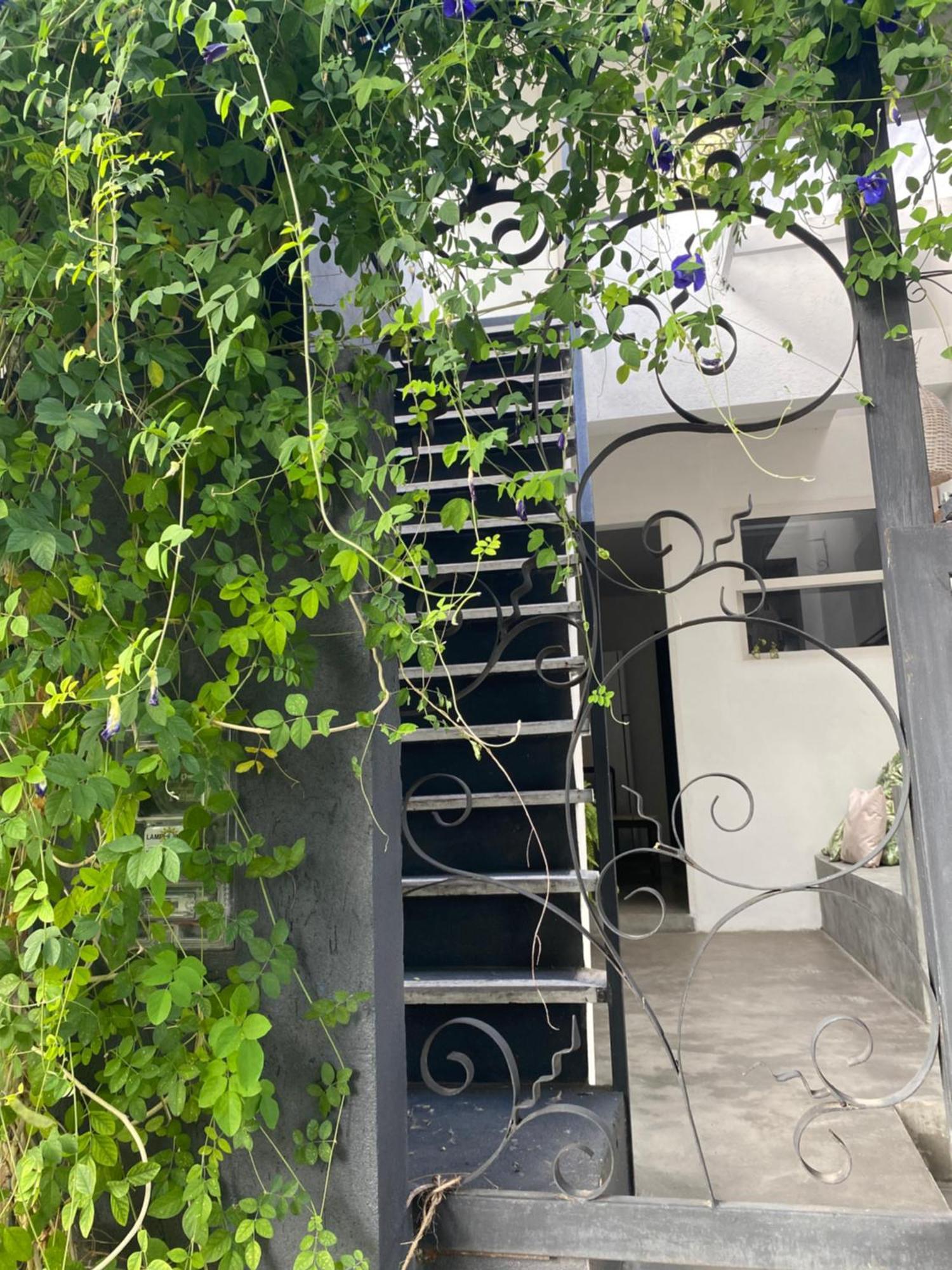 Casa Elsa Pipa Apartment Praia de Pipa Екстериор снимка